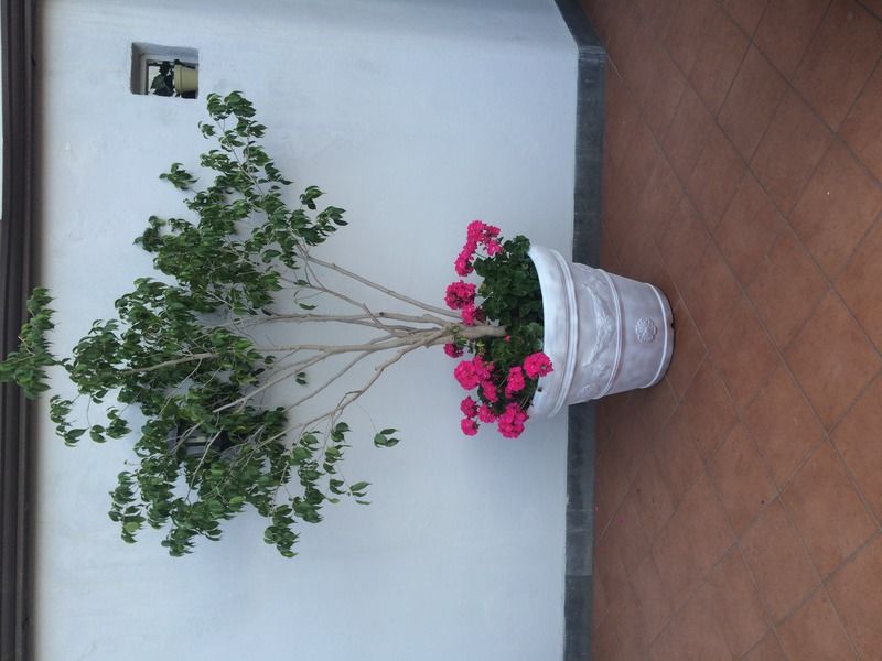 Villa Margherita Napels Buitenkant foto